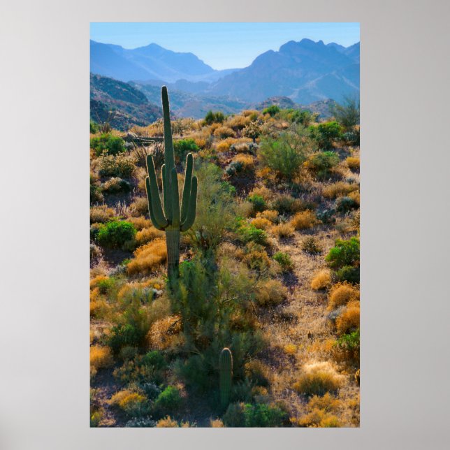 USA, Arizona. Desert View Poster (Front)