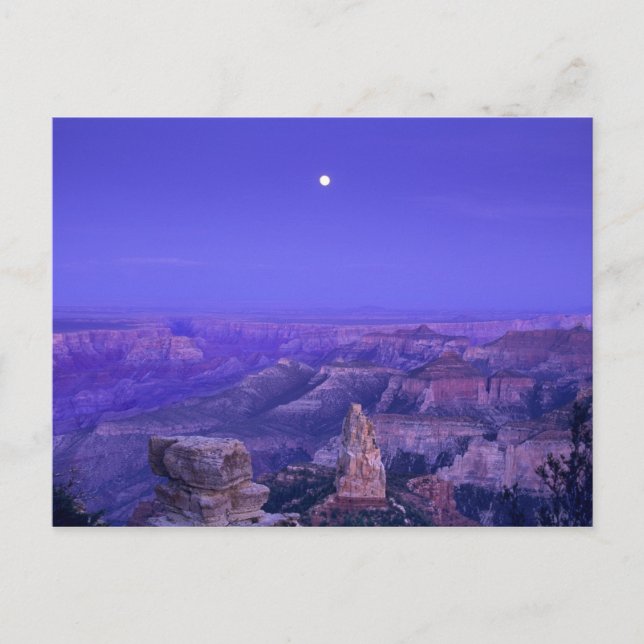 USA, Arizona, Grand Canyon National Park. Postcard (Front)