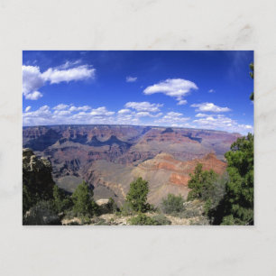 USA, Arizona, Grand Canyon National Park, South Postcard