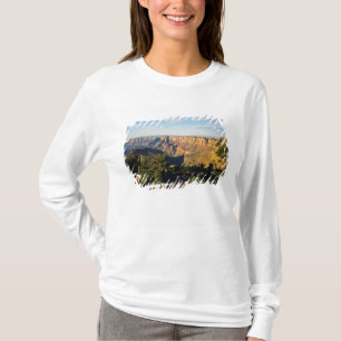USA, Arizona, Grand Canyon National Park, View T-Shirt