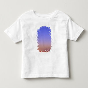 USA, Arizona, Grand Canyon NP. Moon in sky as Toddler T-shirt