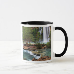 USA, Arizona, Havasu Canyon. The peaceful Mug