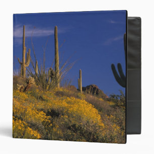 USA, Arizona, Organ Pipe Cactus National 2 Binder