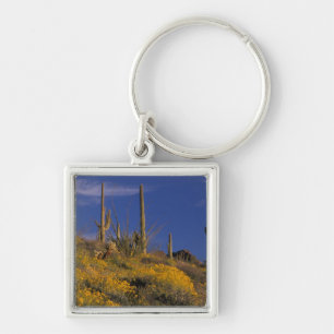 USA, Arizona, Organ Pipe Cactus National 2 Keychain