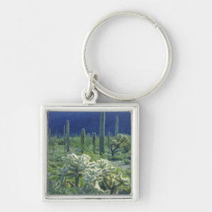 USA, Arizona, Organ Pipe Cactus National Keychain