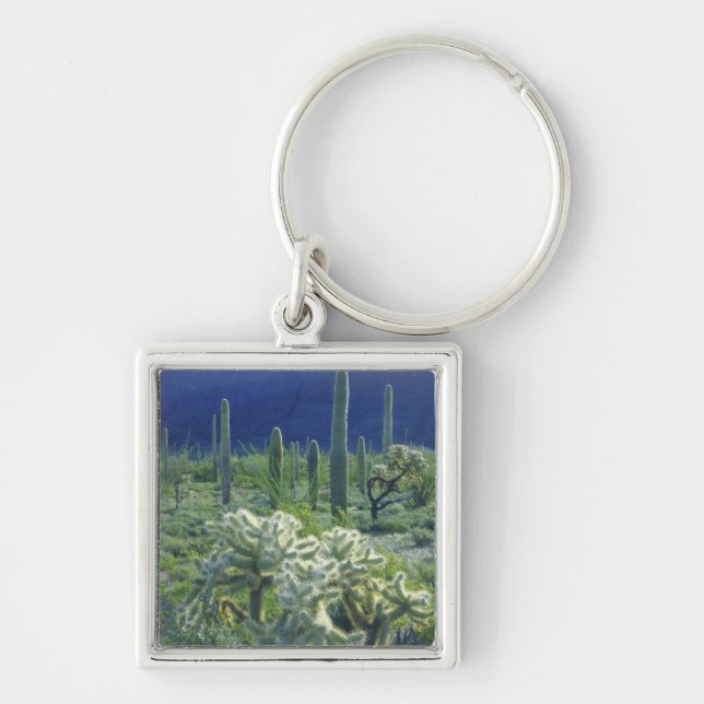 USA, Arizona, Organ Pipe Cactus National Keychain (Front)