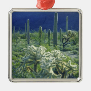USA, Arizona, Organ Pipe Cactus National Metal Ornament