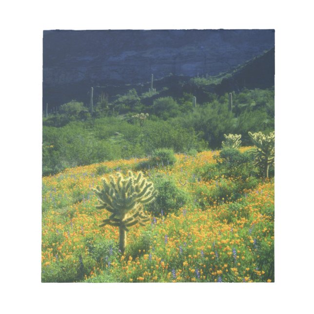 USA, Arizona, Organ Pipe Cactus National Notepad (Front)
