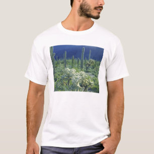 USA, Arizona, Organ Pipe Cactus National T-Shirt