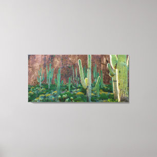 USA, Arizona. Saguaro Cactus Field By A Cliff Canvas Print