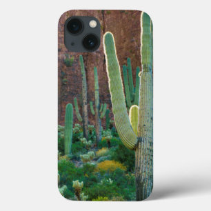 USA, Arizona. Saguaro Cactus Field By A Cliff iPhone 13 Case