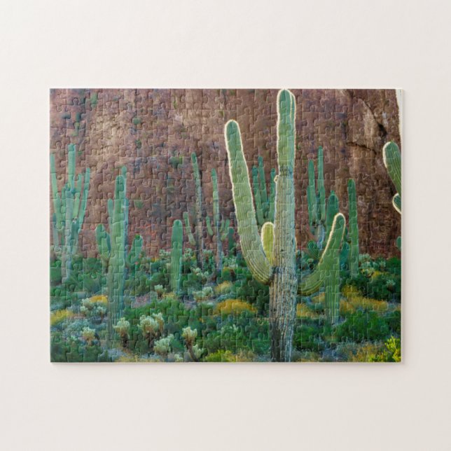 USA, Arizona. Saguaro Cactus Field By A Cliff Jigsaw Puzzle (Horizontal)