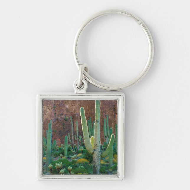 USA, Arizona. Saguaro Cactus Field By A Cliff Keychain (Front)