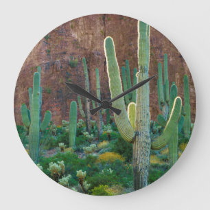 USA, Arizona. Saguaro Cactus Field By A Cliff Large Clock