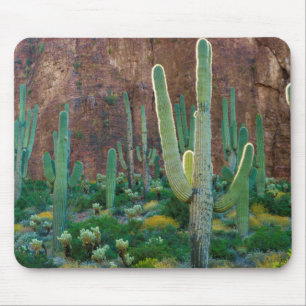USA, Arizona. Saguaro Cactus Field By A Cliff Mouse Pad