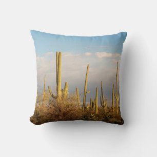 USA, Arizona, Saguaro National Park, Saguaro Throw Pillow