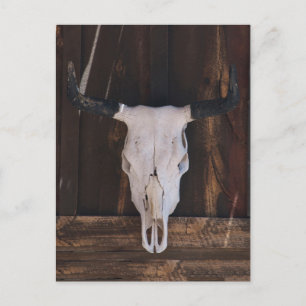USA, Arizona. Skull On A Shop Wall Postcard