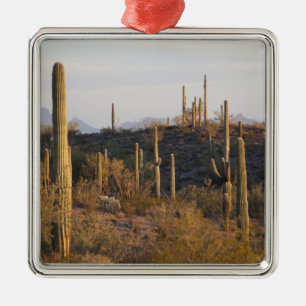 USA, Arizona, Sonoran Desert, Ajo, Ajo 2 Metal Ornament
