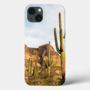 USA, Arizona, Tonto National Forest, Picketpost 2 iPhone 13 Case