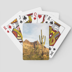 USA, Arizona, Tonto National Forest, Picketpost 2 Playing Cards