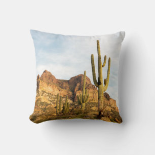 USA, Arizona, Tonto National Forest, Picketpost 2 Throw Pillow