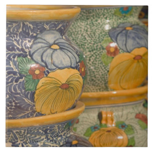 USA, Arizona, Tubac: South Arizona's Premier 2 Tile