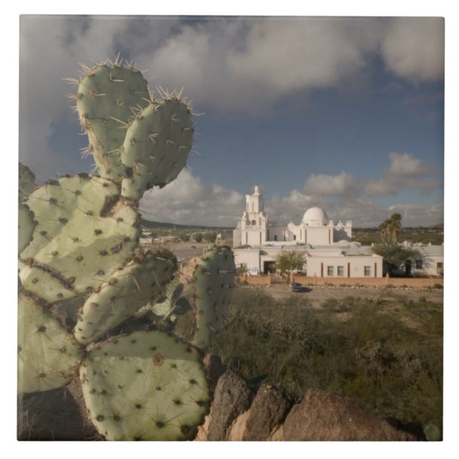 USA, Arizona, Tucson: Mission San Xavier del Bac 2 Tile (Front)