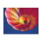 USA, Arizona, Val Vista. A colourful hot-air