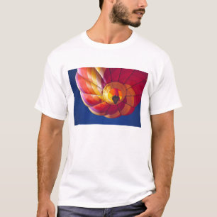 USA, Arizona, Val Vista. A colourful hot-air T-Shirt