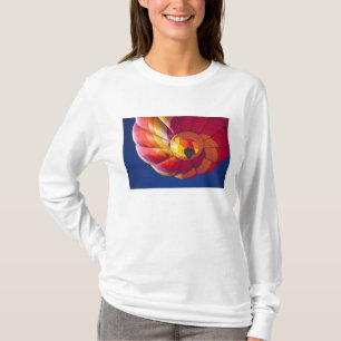 USA, Arizona, Val Vista. A colourful hot-air T-Shirt