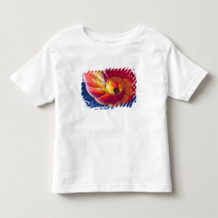 USA, Arizona, Val Vista. A colourful hot-air Toddler T-shirt