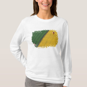 USA, Arizona, Val Vista. Hot-air balloons soar T-Shirt