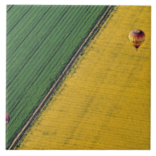 USA, Arizona, Val Vista. Hot-air balloons soar Tile