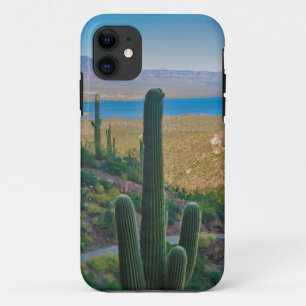 USA, Arizona. View From The Entrance To Tonto iPhone 11 Case