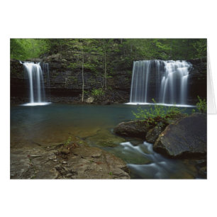 USA, Arkansas, Ozark- St Francis National