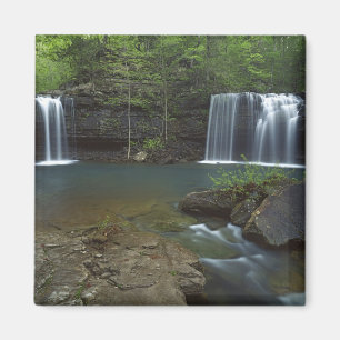 USA, Arkansas, Ozark- St Francis National Magnet