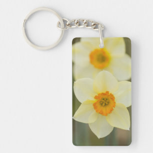 USA, Arlington, Virginia, closeup of white Keychain