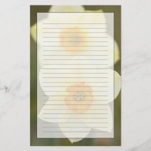 USA, Arlington, Virginia, closeup of white Stationery