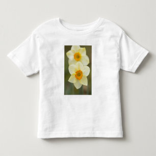 USA, Arlington, Virginia, closeup of white Toddler T-shirt