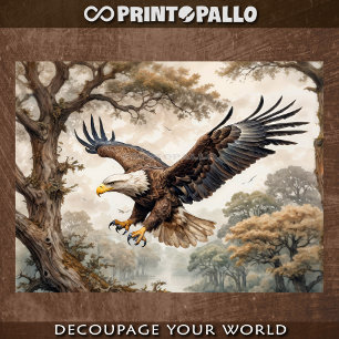 USA Bald Eagle flyies among the tree in a forest Tissue Paper