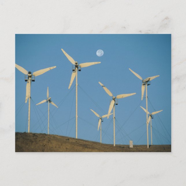 USA, California, Altamont Pass, wind generators. Postcard (Front)