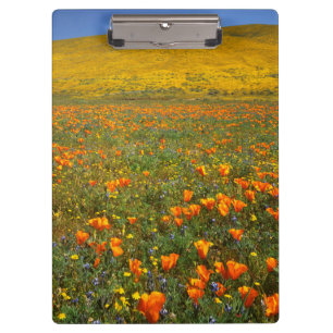 USA, California, Antelope Valley California Clipboard