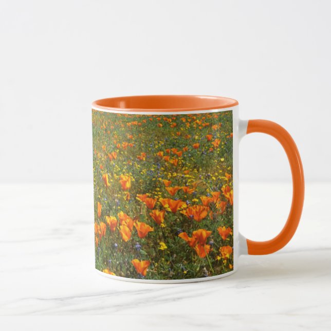USA, California, Antelope Valley California Mug (Right)