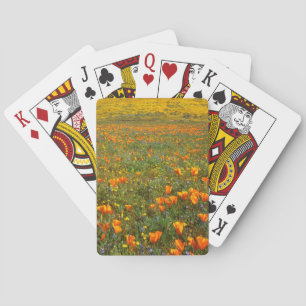 USA, California, Antelope Valley California Playing Cards