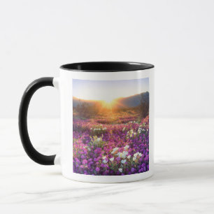 USA, California, Anza-Borrego Desert State Park. 2 Mug
