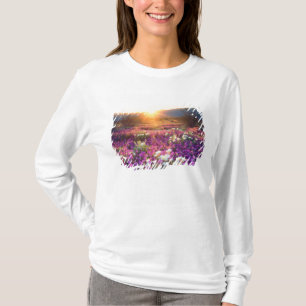 USA, California, Anza-Borrego Desert State Park. 2 T-Shirt