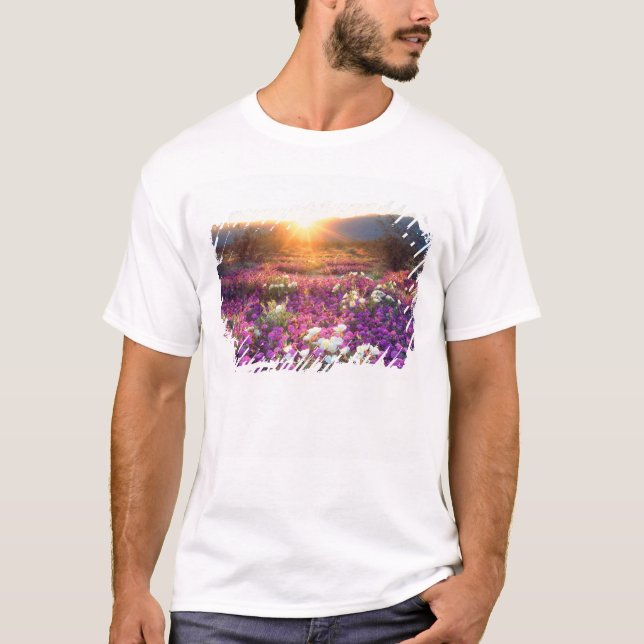 USA, California, Anza-Borrego Desert State Park. 2 T-Shirt (Front)