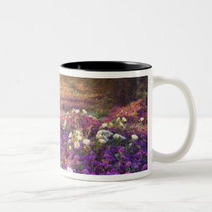 USA, California, Anza-Borrego Desert State Park. 2 Two-Tone Coffee Mug