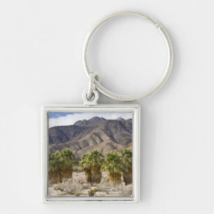 USA, California, Anza-Borrego Desert State Park. Keychain
