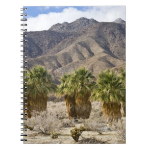 USA, California, Anza-Borrego Desert State Park. Notebook